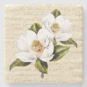 Vintage Magnolie blüht SteinUntersetzer (Vorderseite)