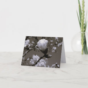 Vintage Magnolie-Blüten-Notizkarten – Cottage Gard Dankeskarte