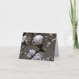 Vintage Magnolie-Blüten-Notizkarten – Cottage Gard Dankeskarte