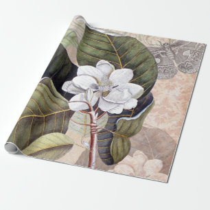 Vintage Magnolie Elegante Botanische Collage Geschenkpapier