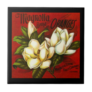Vintage Magnolien-Zitrusfrucht-orange Fliese