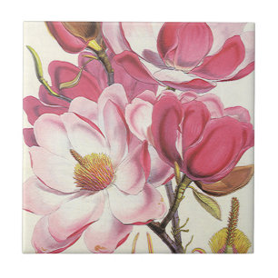 Vintage Magnolienbaumblüte, rosa Gartenblumen Fliese