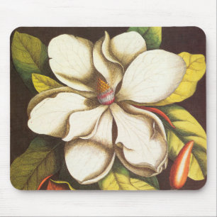 Vintage Magnolienblüten Pflanze mit Samen Mousepad