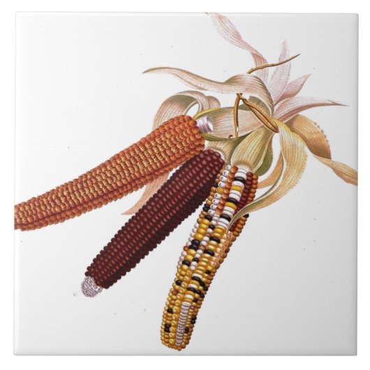 Vintage Maisfliese aus Indien Fliese (Vorderseite)
