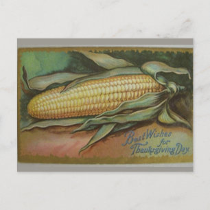 Vintage Maiskolben Thanksgiving-Grüße Postkarte
