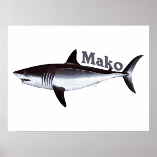 Vintage Mako-Hai Poster