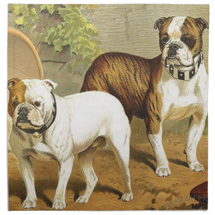 Englische Bulldogge Servietten Zazzle De