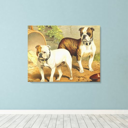 Vintage Malerei von englischen Bulldogs Leinwanddruck (Insitu (Holzboden))