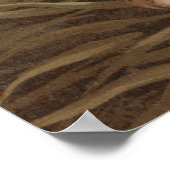 Vintage Malerei von Foght Brook Trout (1868) Poster (Ecke)