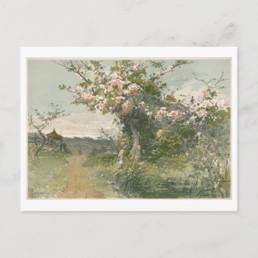 Vintage Malfeder mit Kirschblüten Postkarte (Vorderseite)