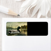 Vintage Mallard Duck Weathered Postcard (Insitu)