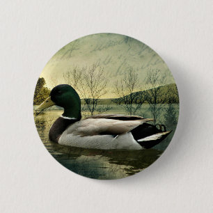Vintage Mallard Duck Weathered Postcard Button