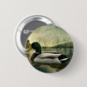 Vintage Mallard Duck Weathered Postcard Button (Vorne & Hinten)