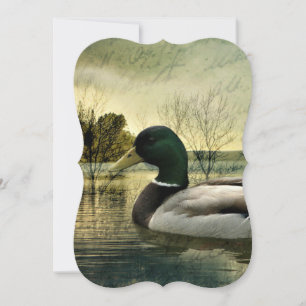 Vintage Mallard Duck Weathered Postcard Feiertagskarte