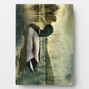 Vintage Mallard Duck Weathered Postcard Fotoplatte