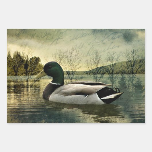 Vintage Mallard Duck Weathered Postcard Geschenkpapier Set (Vorderseite)