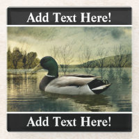 Vintage Mallard Duck Weathered Postcard
