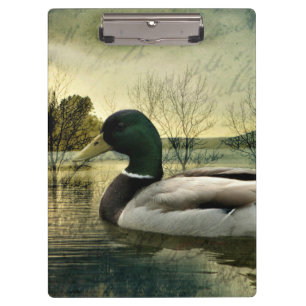 Vintage Mallard Duck Weathered Postcard Klemmbrett