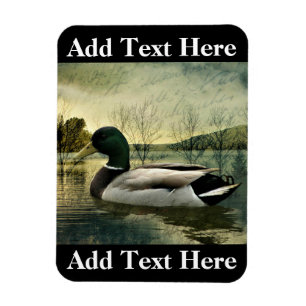 Vintage Mallard Duck Weathered Postcard Magnet