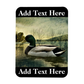 Vintage Mallard Duck Weathered Postcard Magnet