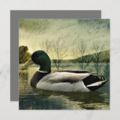 Vintage Mallard Duck Weathered Postcard Mitteilungskarte (Vorne/Hinten)