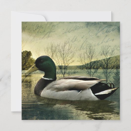 Vintage Mallard Duck Weathered Postcard Mitteilungskarte (Vorderseite)