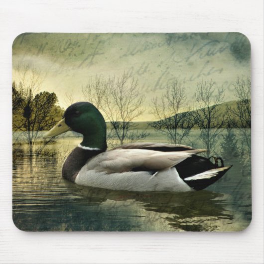 Vintage Mallard Duck Weathered Postcard Mousepad (Vorne)