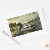 Vintage Mallard Duck Weathered Postcard Rechteckiger Aufkleber (Umschlag)