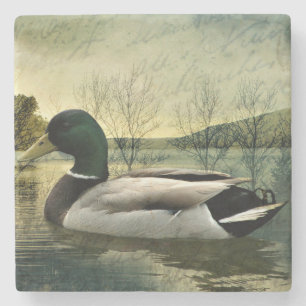 Vintage Mallard Duck Wethered Postkarte Steinuntersetzer