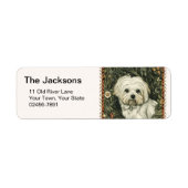 Vintage-Maltese- oder Bichon-Frise-Welpe (Vorne)