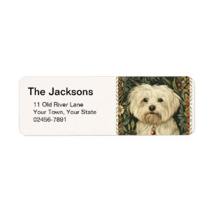 Vintage-Maltese- oder Bichon-Welpe
