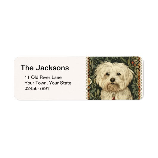 Vintage-Maltese- oder Bichon-Welpe (Vorne)