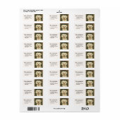 Vintage Maltese or Bichon puppy Dog (Vorne)