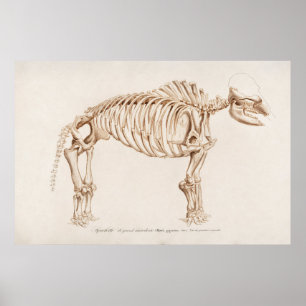 Vintage-Mammut-Illustration Poster