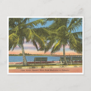 Vintage Manatee River Bradenton Florida Postkarte