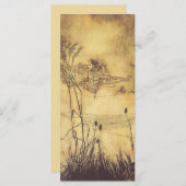 Vintage Märchen, Fairy's Tightrope von Rackham (Vorne/Hinten)