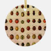Vintage Marienkäfer-Exemplar-Muster Antikes Insekt Keramik Ornament (Vorne)
