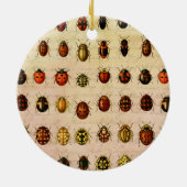 Vintage Marienkäfer-Exemplar-Muster Antikes Insekt Keramik Ornament (Hinten)