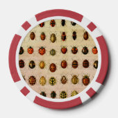 Vintage Marienkäfer-Exemplar-Muster Antikes Insekt Pokerchips (Rückseite)