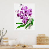 Vintage Mauve Lila Agenta Orchid Blume Poster (Küche)