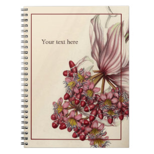 Vintage-Medinilla-Magnifica-Notizbuch Notizblock
