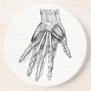 Vintage, medizinisch Zeichnend Muskeln der Hand Getränkeuntersetzer