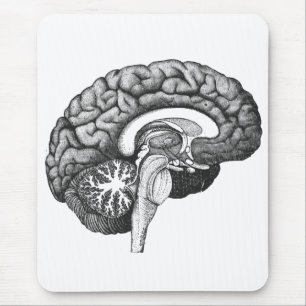 Vintage medizinische Anatomie-Illustration menschl Mousepad