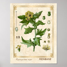 Vintage medizinische Pflanze Henbane Herb Botanica Poster