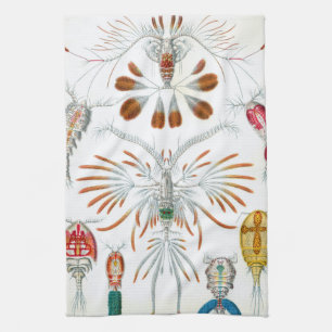 Vintage-Meeres-Tiere, Copepoda von Ernst Haeckel Geschirrtuch