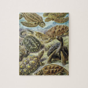 Vintage-Meereschildkröten und Landschildkröten von Puzzle