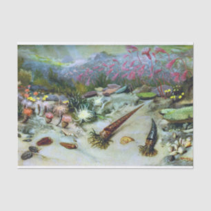 Vintage Meeresfauna - Muscheln, Fische, Korallen Seidenpapier