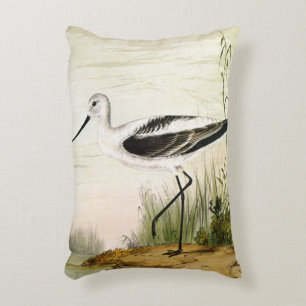 Vintage Meeresleben Strandvögel, Avocet Vögel Zierkissen