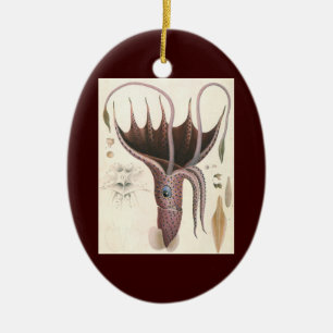 Vintage Meereslebewesen Tiere, Schirm-Kalmar Keramikornament