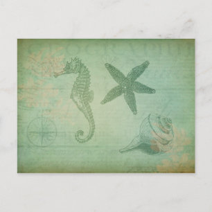 Vintage Meereslebewesen und Muscheln Postkarte